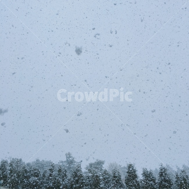 sky,snowfall,snowyday,heavy snow,winter,scenery,snowy day,mountain,snow,snowcovered mountain,snowy