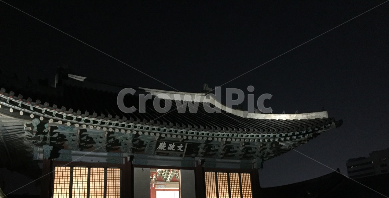 창경궁,기와,문화유산,문화재,고궁,궁궐,전통,야경,밤,풍경,nightscape,night,landscape,한국전통,한국문화,korean traditional,korean culture,건축물,건물외관,exterior,building,structure,architecture,construction