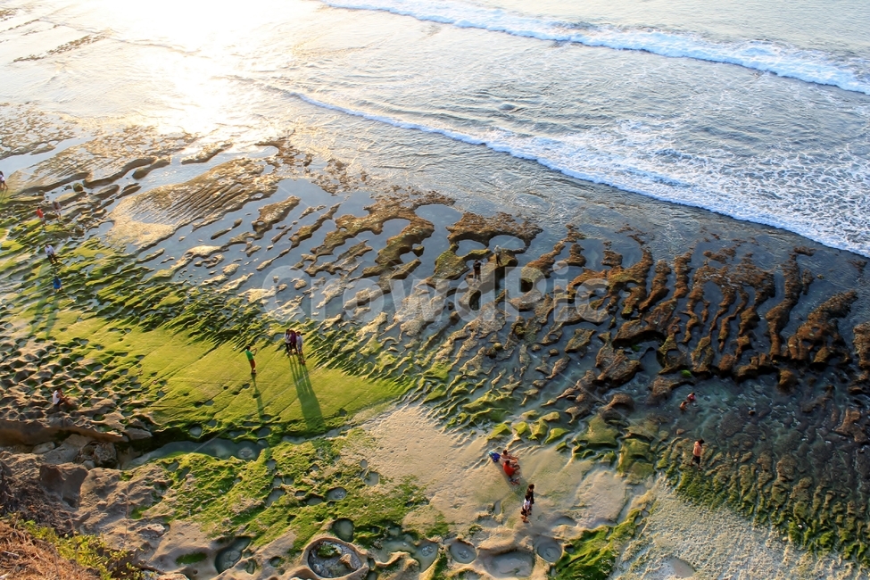 인도네시아,발리,발랑안,발랑안해변,썰물,해변,바닷가,indonesia,bali,balangan,balanganbeach,beach,ebb,ebbtide,greenbeach,녹색해변,자연,풍경,nature,landscape