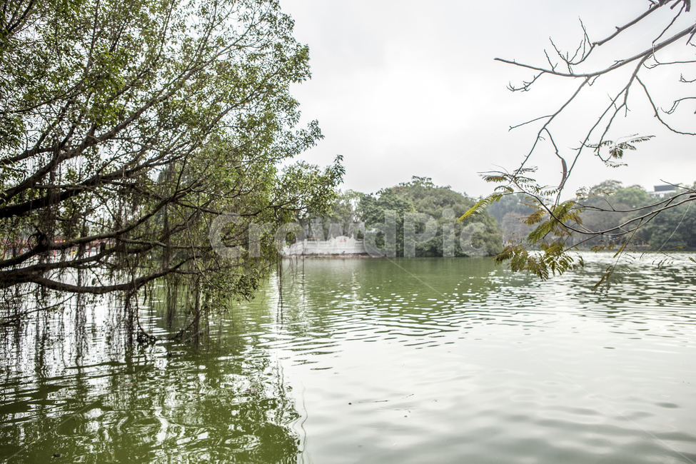 녹음,water,물,풍경,자연,녹색,nature,outdoors,옥외,호수,lake,호안끼엠,하노이,정취,고즈넉한,나무,야외,잔잔한,초록,green