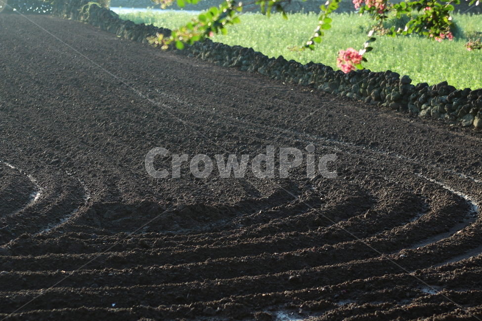 제주도,농사,봄,밭고랑,여름,산업,industry,industrial,농업,농사,agriculture,farming,farming industry
