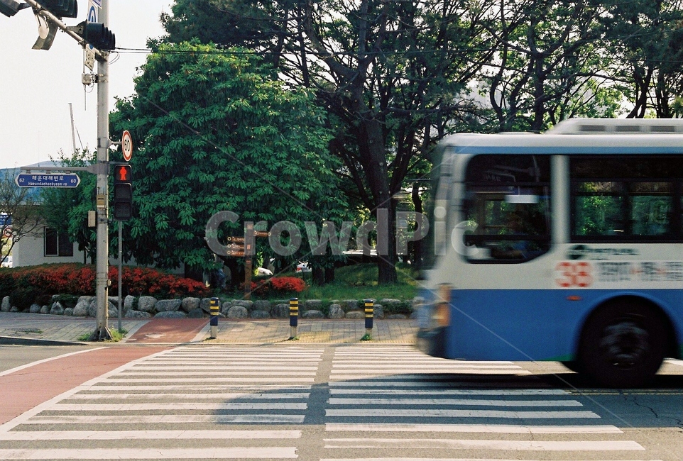 버스,거리,길거리,도로,필름,교통,교통수단,traffic,transportation