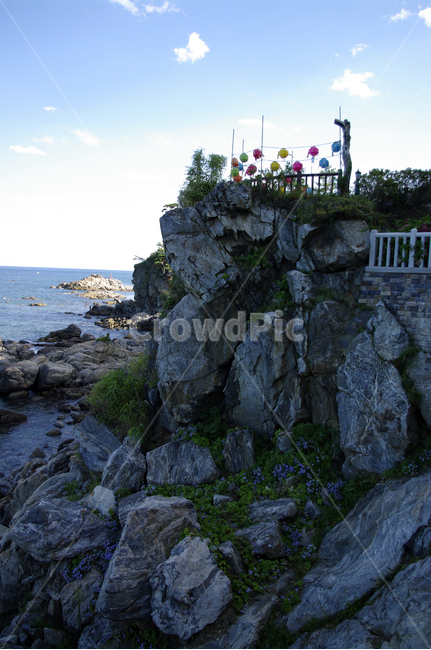 바다,동해,하늘,풍경,바위,암석,나무,구름,자연,풍경,nature,landscape,한국자연풍경,한국자연경관,korea nature landscape