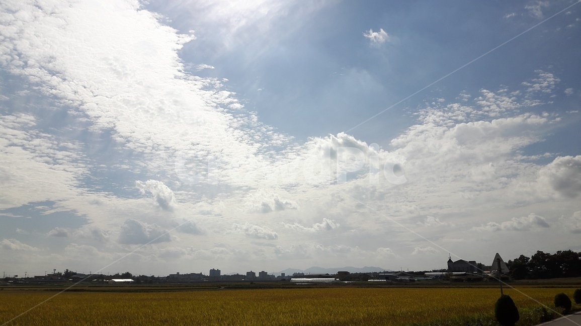 벼,추수,논,하늘,구름,가을,fall,sky,풍경,맑음,햇빛,자연,풍경,nature,landscape,outdoors,옥외,weather,날씨,cloud,cumulus,적운