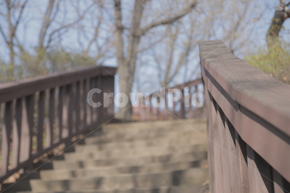 handrail,banister,난간,계단,나무계단,풍경,자연