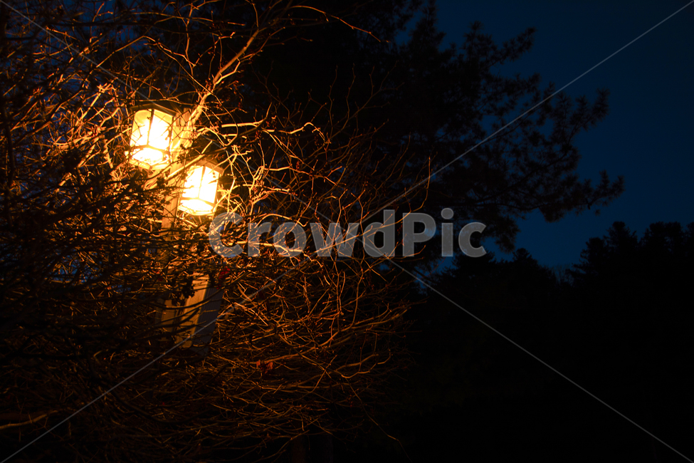 가로등,나무,밤,조명,빛,산골,tree,night,light,lamp,streetlamp,lighting,자연,풍경,nature,landscape,야경,밤,nightscape,night