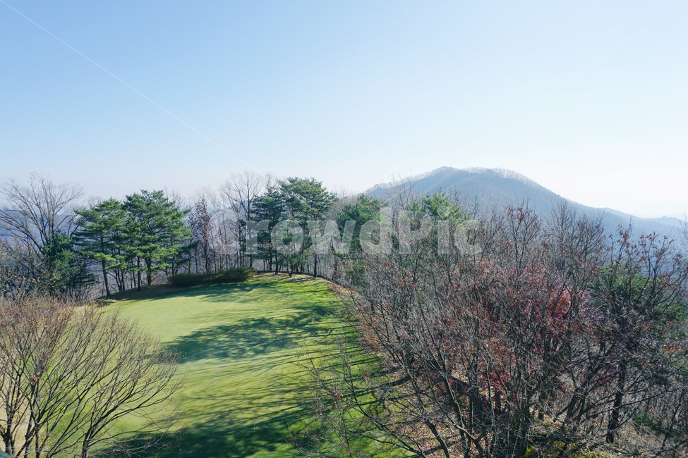 풍경,자연,nature,outdoors,옥외,한국풍경,한국자연,koreanature,beautykorea,나무,전나무,식물,tree