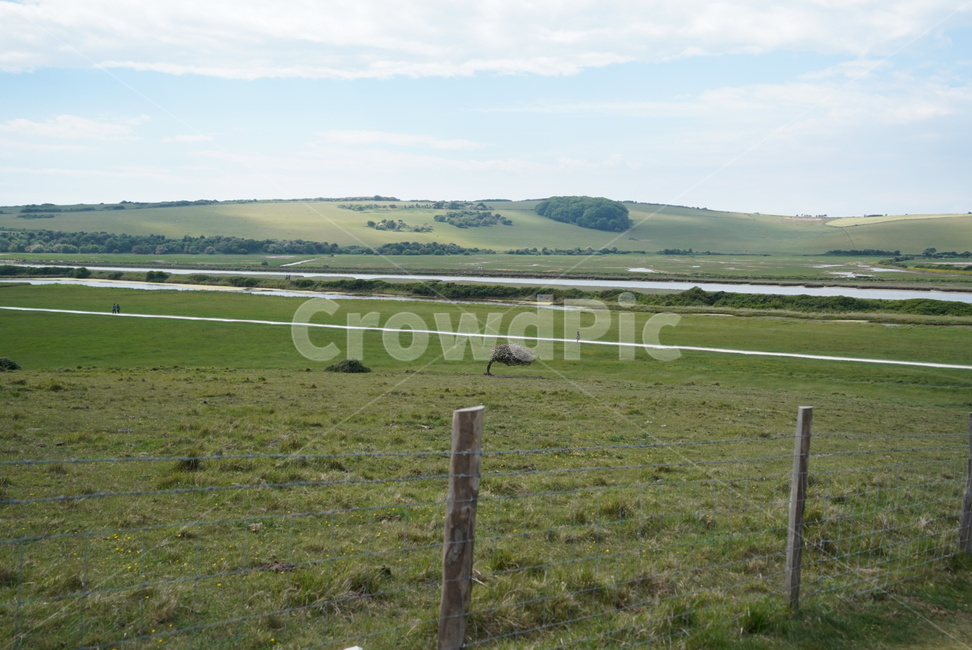 자연,sevensisters,풍경,세븐시스터즈,자연경관,자연,풍경,nature,landscape,해외,외국,세계,foreign,oversea,world,세계자연풍경,해외자연풍경,외국자연풍경,world nature landscape,field,들,outdoors,옥외,grassland,목초지