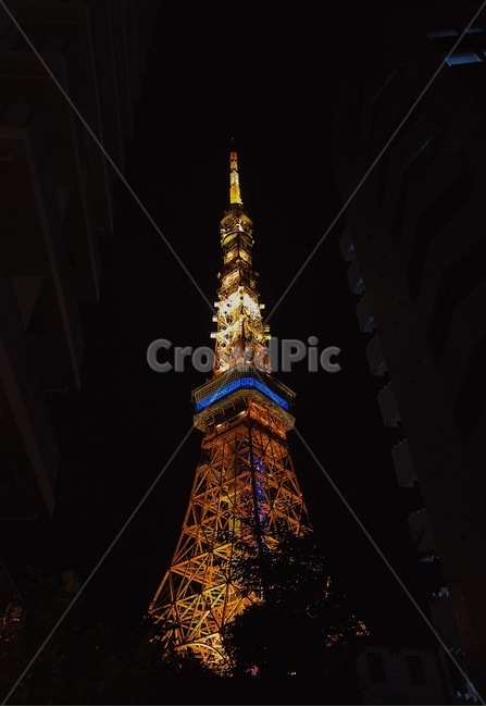 steeple,뾰족한탑,tower,탑,첨탑,spire,건축물,architecture,building,건물,nature,자연,옥외,outdoors,경치,landscape,scenery,풍경,tokyotower,tokyo도쿄타워,일본,도쿄타워,도쿄,도쿄야경