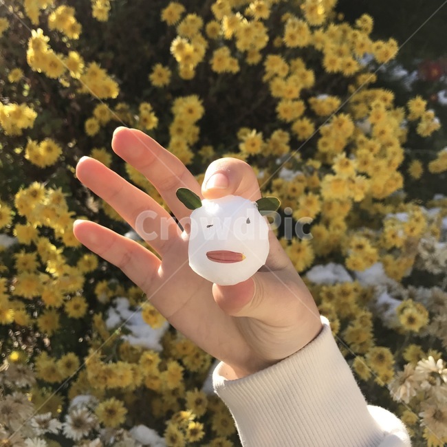 눈사람,작은눈사람,감성,귀여움,겨울,꽃