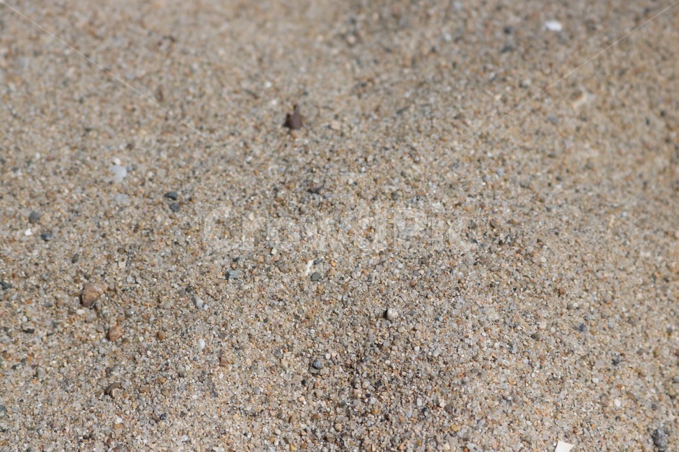 여름,해수욕장,모래,summer,natsu,beach,kaisuiyokuzhou,sand,suna,해변,바다,beach,sea