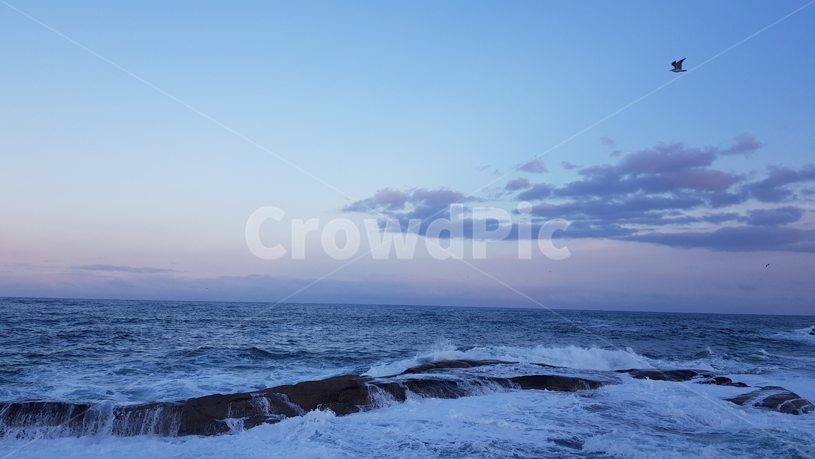 바다,해변,파도,수평선,구름,하늘,탁트인,시원한,sky,sea,ocean,blue,새,갈매기,바위,노을,자연,풍경,nature,landscape,대양,outdoors,옥외,water,물,promontory,곶