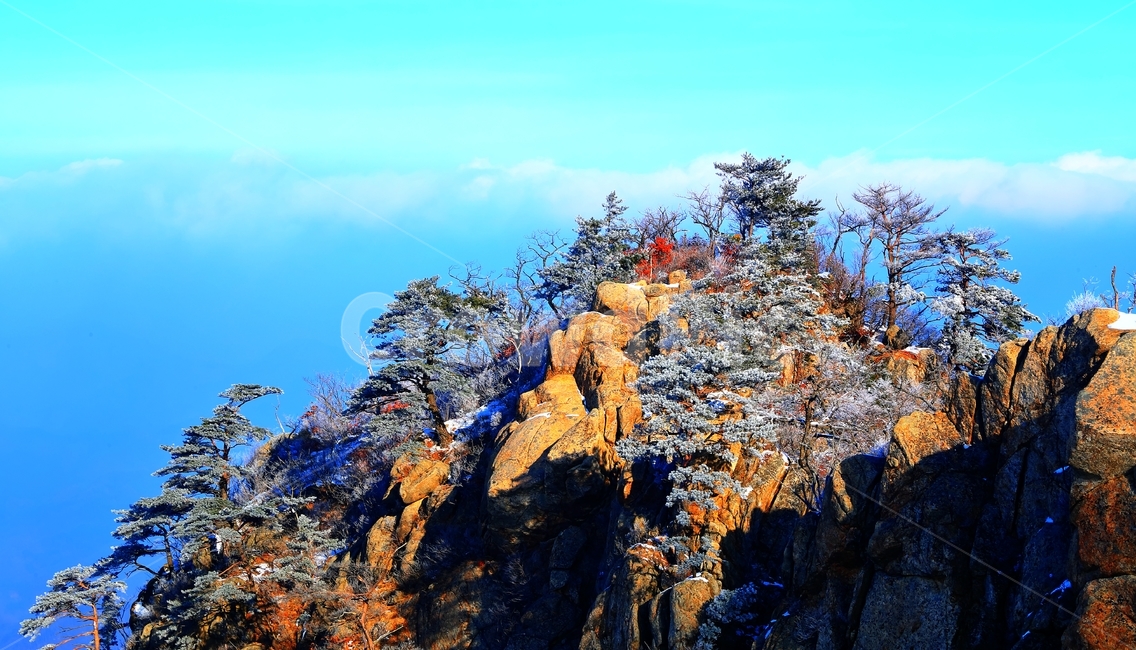 산가리산,겨울,소나무,나무,눈,하늘,겨울,계절,winter,season