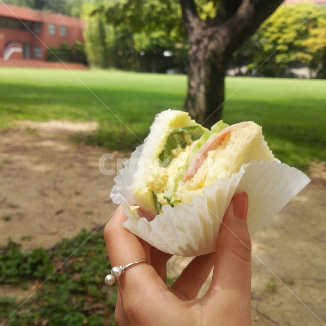 샌드위치,피크닉,소풍,반지,잔디밭,Picnic,Sandwich,잔디,lawn,Nail,네일,Hand,손,봄
