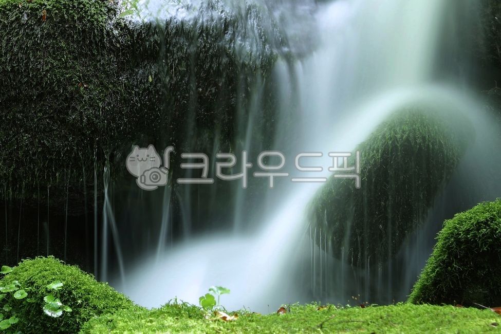 이끼,이끼계곡,폭포,계곡물,초록풀,물,자연,자연,풍경,nature,landscape