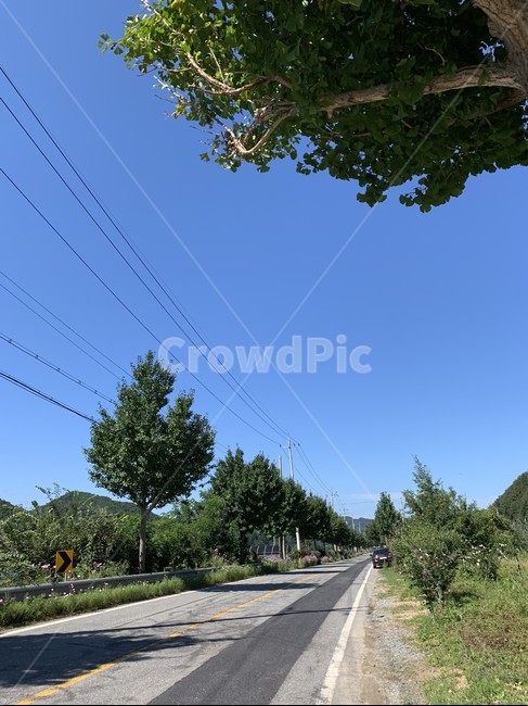 road,도로,아스팔트,시골풍경,landscape