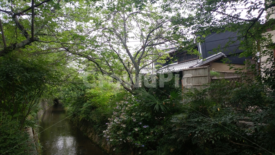 outdoors,옥외,자연,풍경,일본,감성