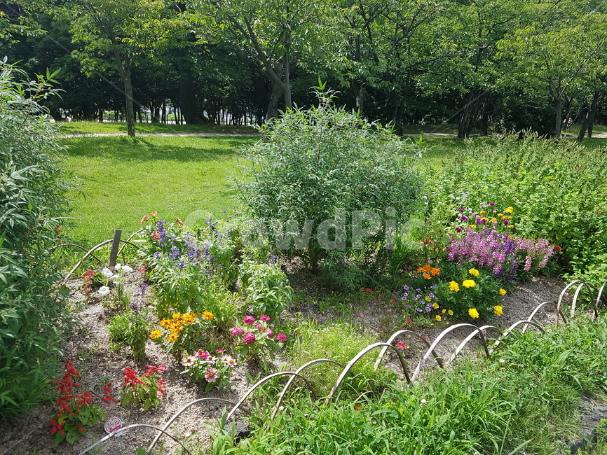 꽃,자연,식물,flower,들,자연,풍경,nature,landscape,pottery,도기류,potted plant,화분,jar,항아리,plant,outdoors,옥외,field,grassland,목초지