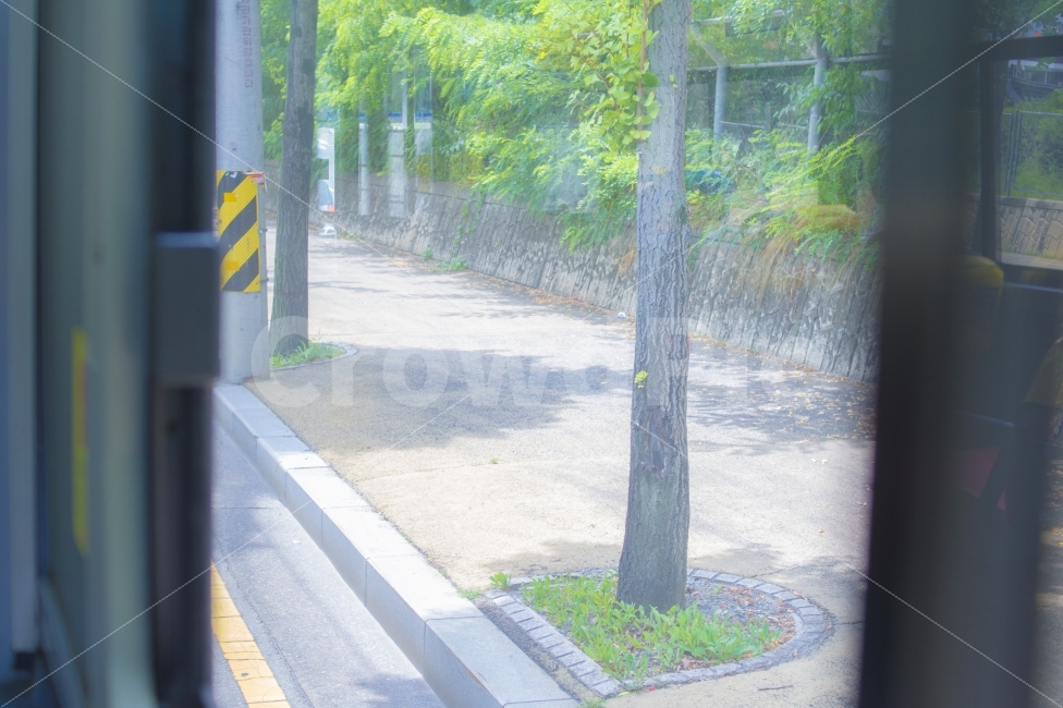 휴식,힐링,버스,봄,나무,풍경,길,교통,교통수단,traffic,transportation,감성,sensible,feeling