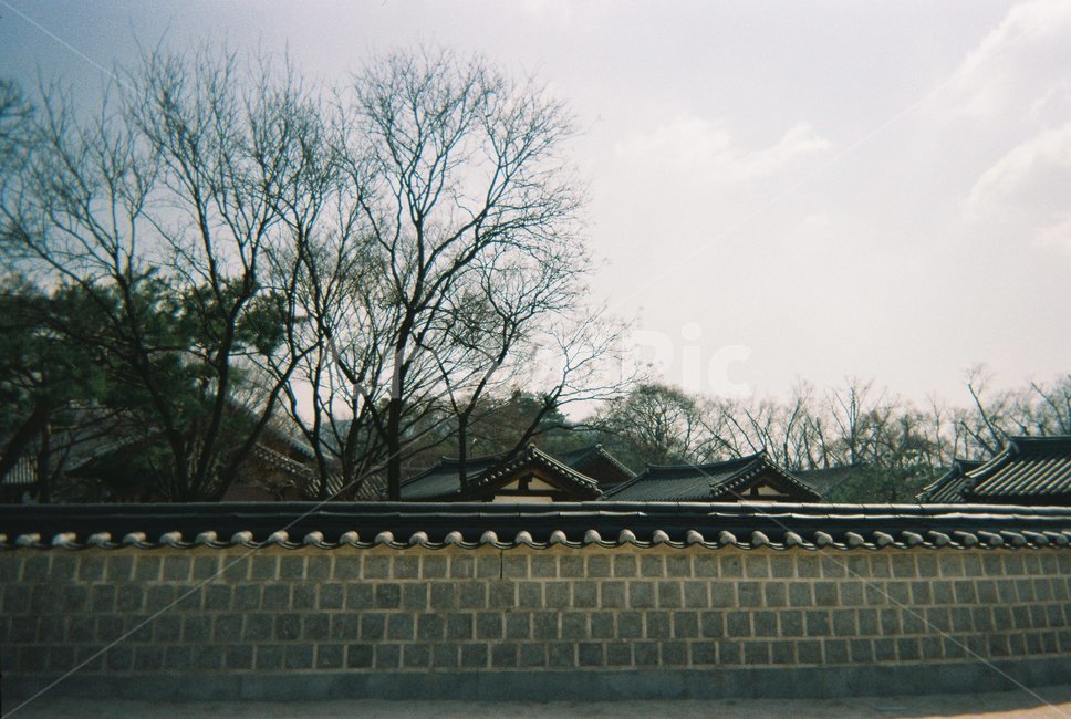 전주,담벼락,한옥마을,풍경,한옥,한옥지붕,기와,경기전