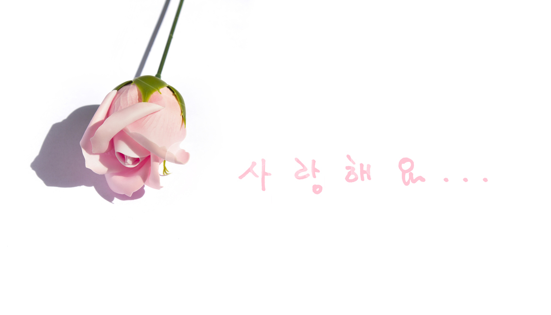 장미,로즈,꽃,플라워,조화,비누,비누꽃,핑크,분홍,줄기,흰배경,클로즈업,사물,자연,식물,사랑,러브,사랑해요,한글,타이포,텍스트,고백,사인펜,펜,손글씨,핸드드로잉,캘리그라피,타이포그래피,싸인펜,펜글씨,글씨