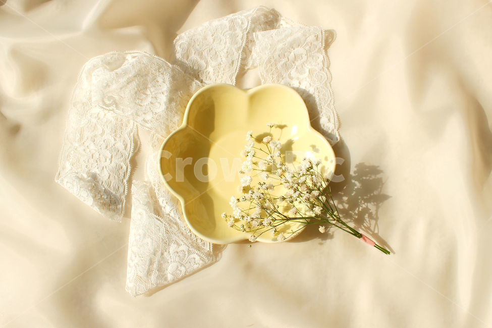 손,꽃,안개꽃,노랑,감성사진,그릇,노란색,하얀색,yellow,white,flower,flowers,레이스,접시,hand,사물,물건,오브젝트,thing,object,matter