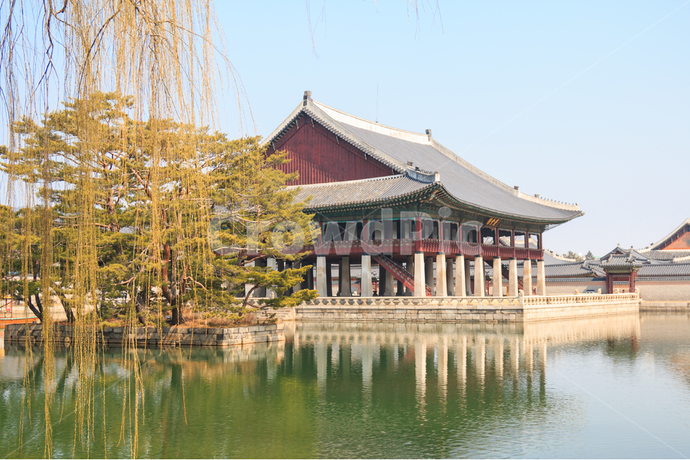 pond,Gyeonghoeru,tourism,construct,building,peaceful,spring,Gyeongbokgung,Cultural Heritage,tile roof,pavilion,sight,tile,tradition,sky,travel destination,reflection,Palace,Bud tree,sperm,Attractions,outdoor,seoul,blue,culture,full width,spring scenery,tr