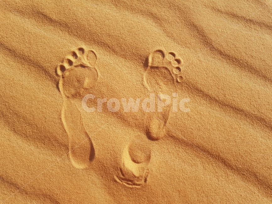발자국,모래,사막,모로코,사하라사막,흙,자연,footprint,soil,nature,sand