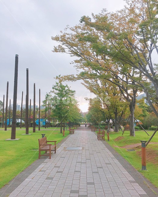 공원,산책,조용함,아침,의자,자연,풍경,nature,landscape,path,통로,walkway,보도,grass,잔디,plant,식물,lawn,outdoors,옥외,park,tree,나무
