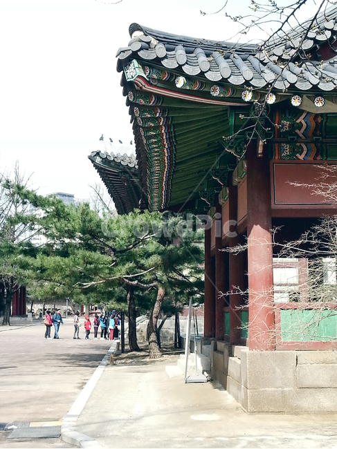 houses,roof,rooftiles,tradition,주택,지붕,기와,전통