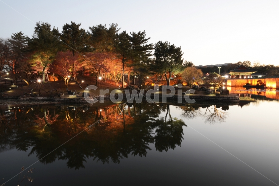 안압지,경주,전통,야경,반영,경주여행,한국적인,야경,밤,풍경,nightscape,night,landscape,한국전통,한국문화,korean traditional,korean culture,랜드마크,landmark,tourist attraction,한국랜드마크,한국관광지,한국명소,korea landmark,korea tourist attraction,water,물,nature,자연,outdoors,옥외