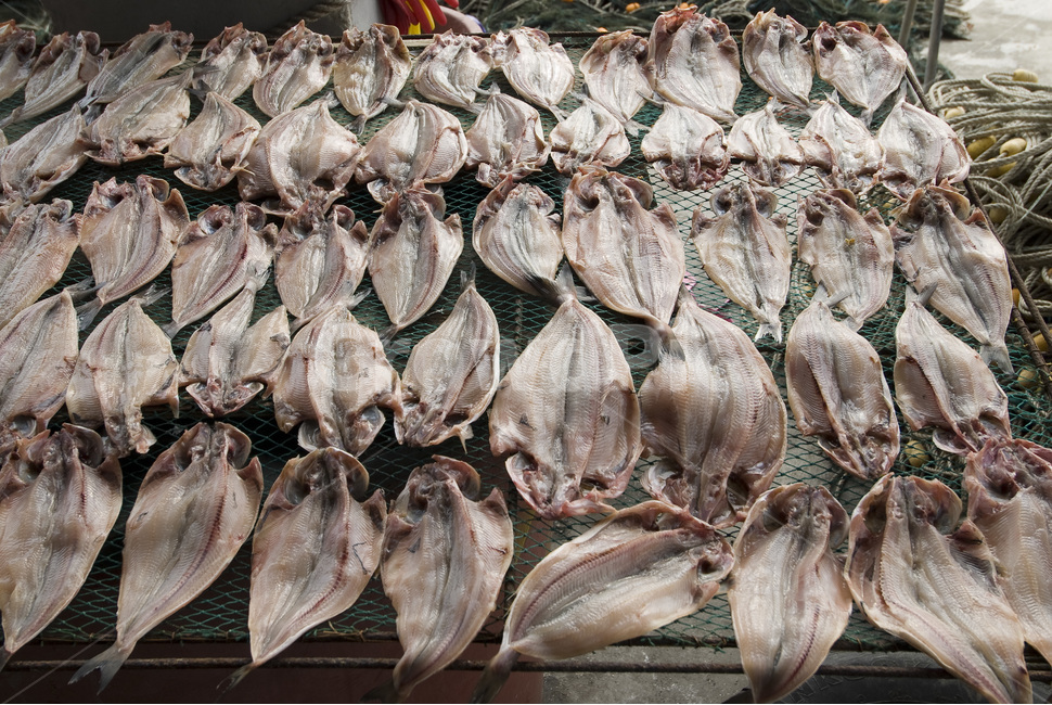 생선,어촌,어촌풍경,건조생선,수확,시장,마트,마켓,market,mart,market place,음식,식재료,요리,food,cook,meal,dishes,food reserves,수산물,해산물,fishery products,seafood,산업,industry,industrial,어업,fishery,fishing industry