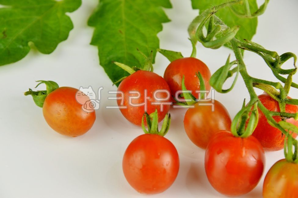 Nukki,Cherry tomato,Fruit,fruit,natural product,tomato,vegetable,food,red,fresh fruit,dessert,healthy food,plant,Food Ingredients,ingredients,diet,organic