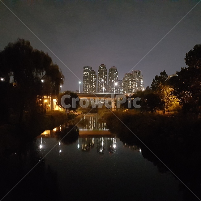 야경,타워팰리스,양재천,양재천야경,서울야경,야경,밤,풍경,nightscape,night,landscape,도시,city