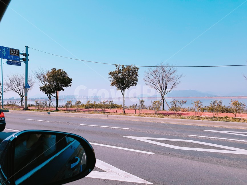 차안,사이드미러,나무,도로풍경,부산도로,부산경치,부산풍경,부산강,부산,부산여행