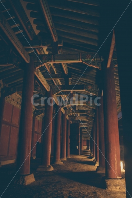 밤,night,야경,고궁,창경궁,패턴,pattern,풍경,landscape,그림자,shadow,한국전통,한국문화,korean traditional,korean culture,감성,sensible,feeling,건축물,건물외관,exterior,building,structure,architecture,construction