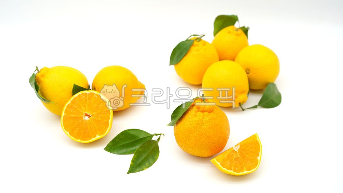 citrus fruits,Jeju fruit,fruit,Jeju Island Fruit,Hallabong,El Dorado,Orange,food,citrusfruit,orange,Cheonhyehyang,plant