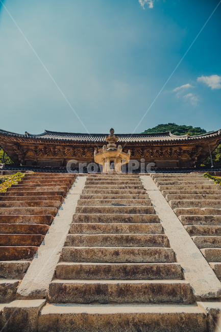 탑,pagoda,shrine,신사,신전,temple,architecture,건축물,건물,절,사찰,하늘,구름,sky,cloud,나무,tree,풍경,절풍경,기와,지붕,기와지붕