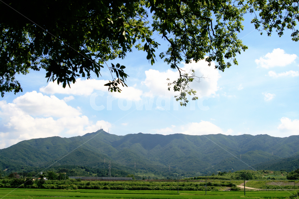 한국,산,모악산,전주,완주,여름,싱그러운,들판,논,능선