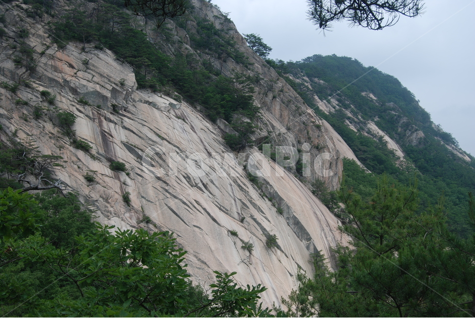 도락산,국립공원,휴양지,한국,자연,자연,풍경,nature,landscape,한국자연풍경,한국자연경관,korea nature landscape,tree,나무,plant,식물