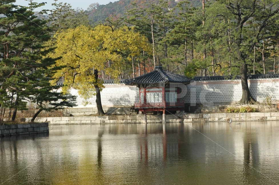 경복궁,연못,호수,전통,한국,한국전통,전통건축,정자,반영,랜드마크,landmark,tourist attraction,한국전통,한국문화,korean traditional,korean culture