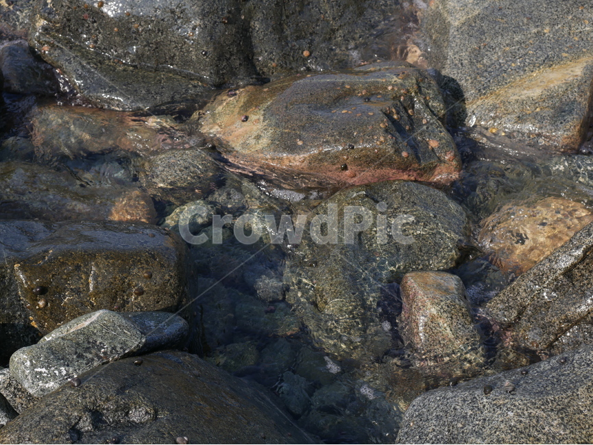 바다,여름,돌,바위,고동,자연,풍경,nature,landscape,rubble,파편,rock,록