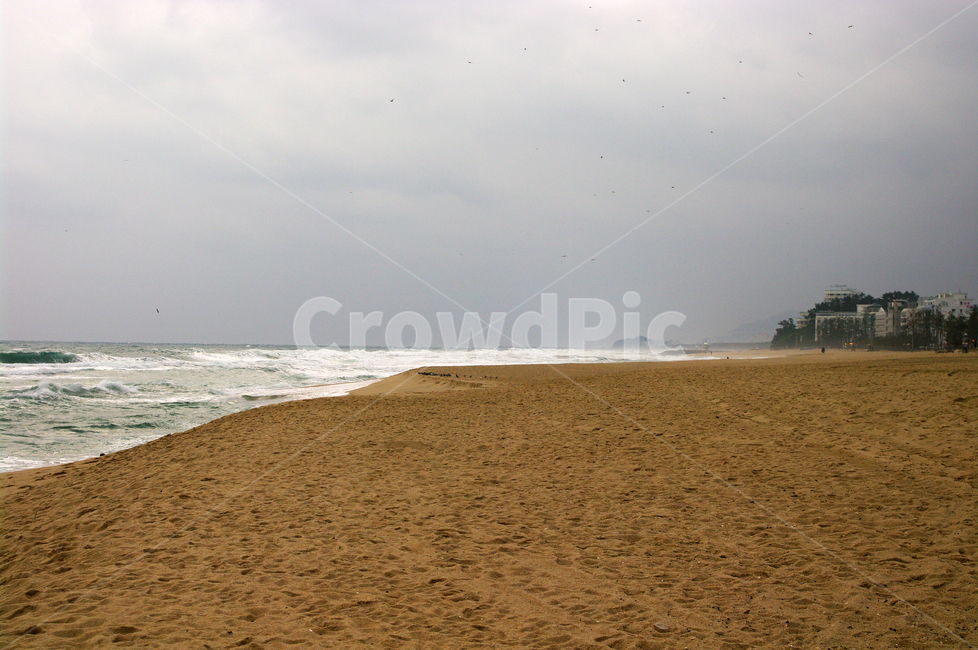 겨울,바다,풍경,하늘,해변,해변,바다,beach,sea