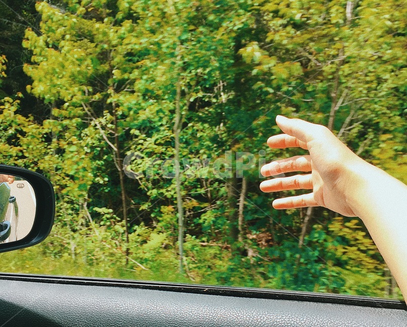 자연,여행,로드트립,드라이브,바람,여유,nature,travel,trip,roadtrip,drive,wind,여행,휴가,traveling,vacation,trip