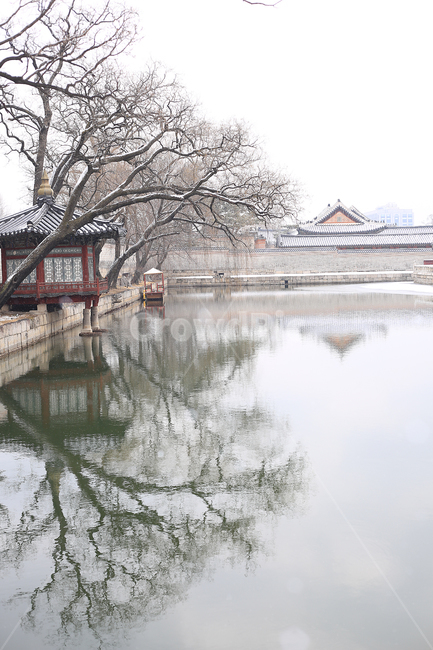 겨울,눈,설경,경복궁,궁,한국,전통,winter,snow,palace,korea,tradition,겨울,계절,winter,season,한국전통,한국문화,korean traditional,korean culture,랜드마크,landmark,tourist attraction,한국랜드마크,한국관광지,한국명소,korea landmark,korea tourist attraction,건축물,건물외관,exterior,building,structure,architecture,construction