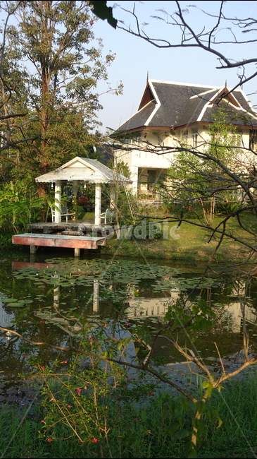 물,water,반영,reflection,house,집,pond,outdoors,옥외,nature,자연,못,연못,주택