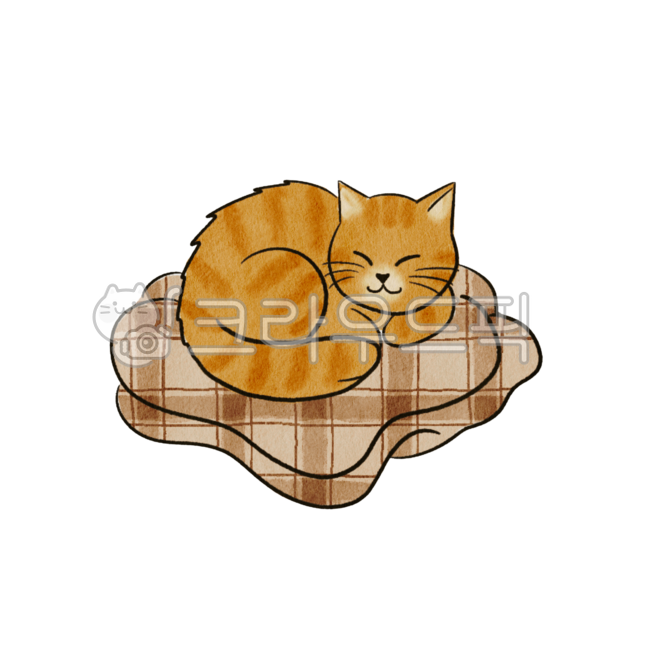 cat,sleeping cat,cat lying on blanket,stray cat,cheese cat,cat with closed eyes,blanket,warm,chilly,poor cat,curled up cat