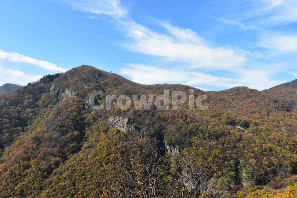 자연,풍경,단풍,계절,가을,잎,붉은,노란,낙엽,나무,백암산,fall,autumn,season,nature,landscape,한국자연풍경,한국자연경관,korea,tree,maple,leaf,가을,계절,fall,autumn,season,자연,풍경,nature,landscape,outdoors,옥외
