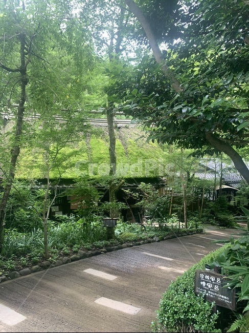 휴양지,휴가,일본,온천,정원,자연,풍경,nature,landscape