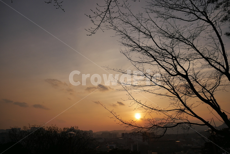 낙산공원,서울성곽,노을,해,길,산책,나무,풍경,도시,풍경,city,landscape,한국도시풍경,한국도시경관,korea cityscape,nature,자연,outdoors,옥외,sky,하늘,red sky,붉은 하늘,sunset,일몰,dawn,새벽,dusk,황혼